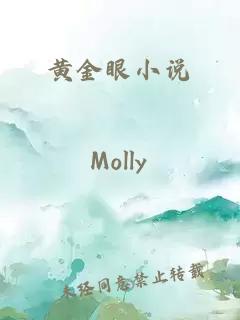 黄金眼小说