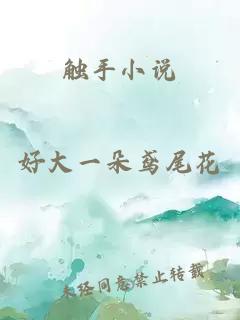 触手小说