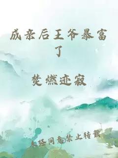 成亲后王爷暴富了