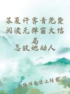 苏夏许霁青免费阅读无弹窗大结局
