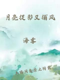 月亮捉影又捕风